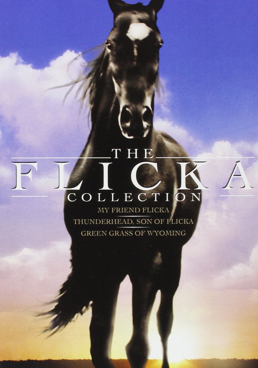 Flicka: The Flicka Family Classics Collection (My Friend Flicka / Thunderhead...